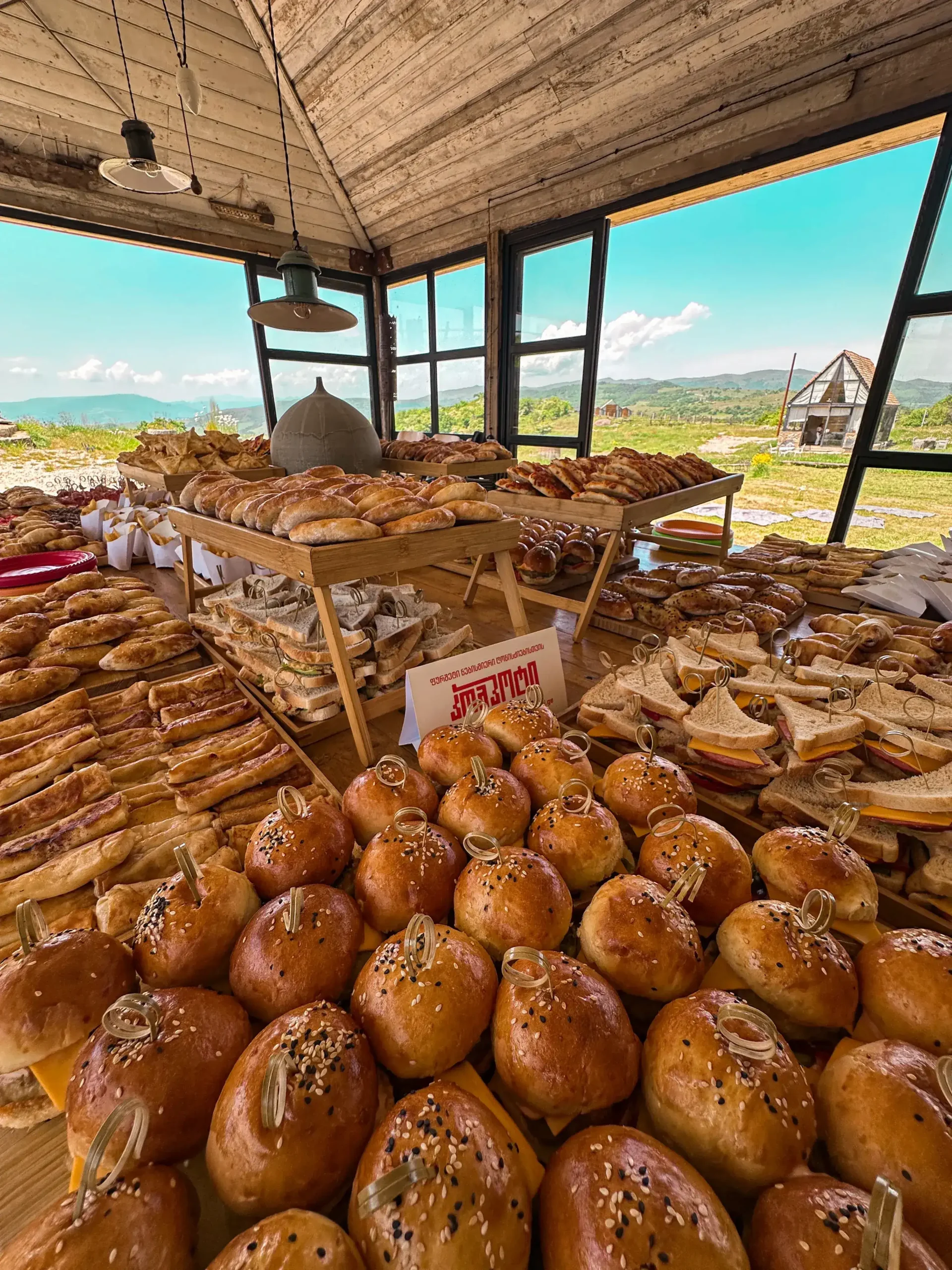 IMG_7673 2_compressed